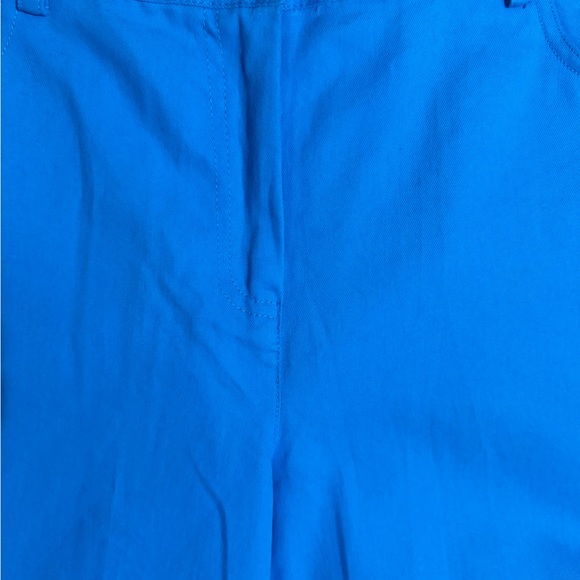 ❤️NWT RET: $44   AQUAMARINE SUMMER CAPRI PANTS   SIZE:  10 PETITE      #U - Picture 3 of 7